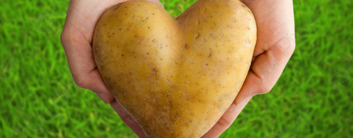 Potato Shaped Heart Hands On 48962