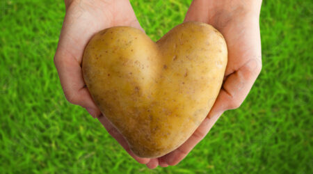 Potato Shaped Heart Hands On 48962