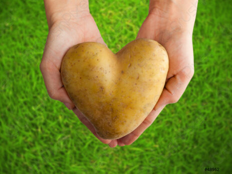 Potato Shaped Heart Hands On 48962