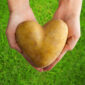 Potato Shaped Heart Hands On 48962